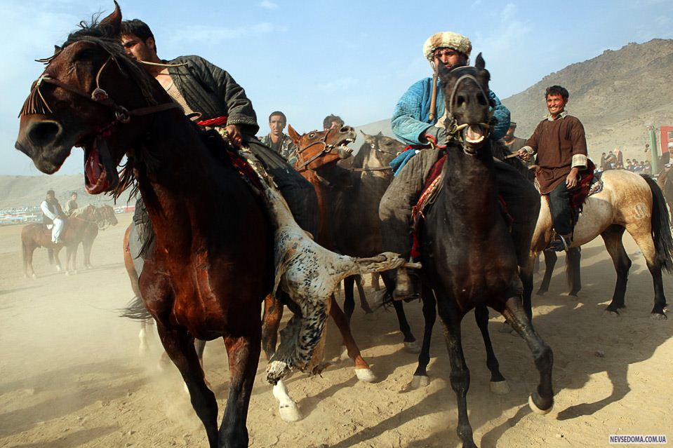 4)  «Afghanistan Online»,  –   ,             . (Majid Saeedi/Getty Images)