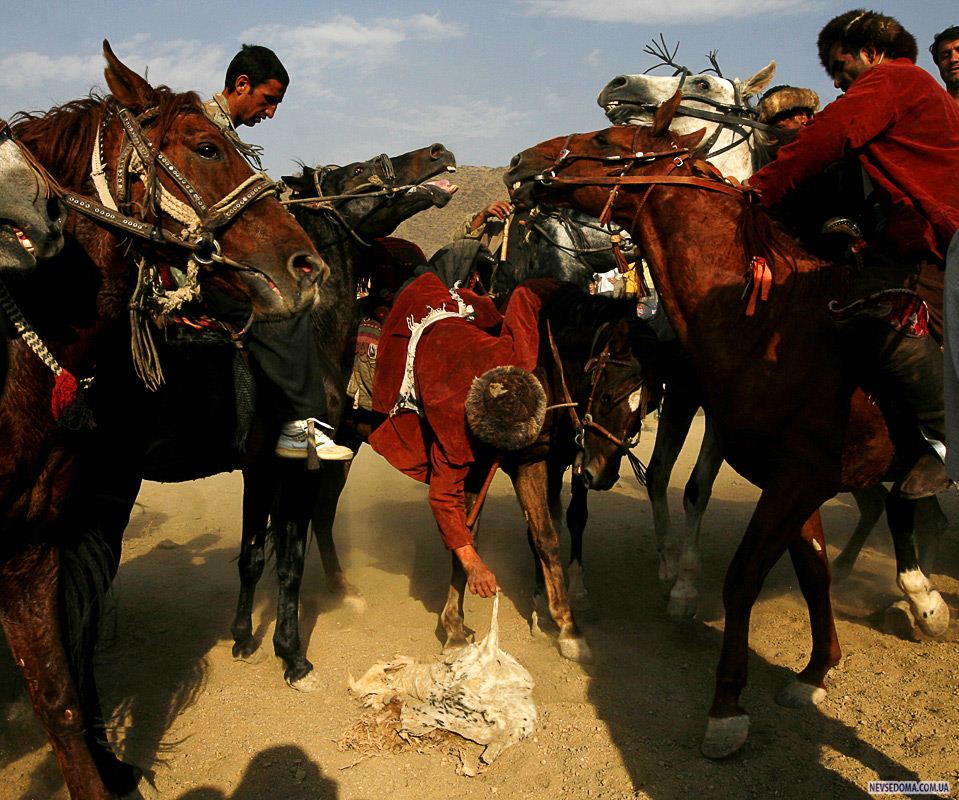 12)     «Afghanistan Online»,     ,    . (AP Photo/Farzana Wahidy)