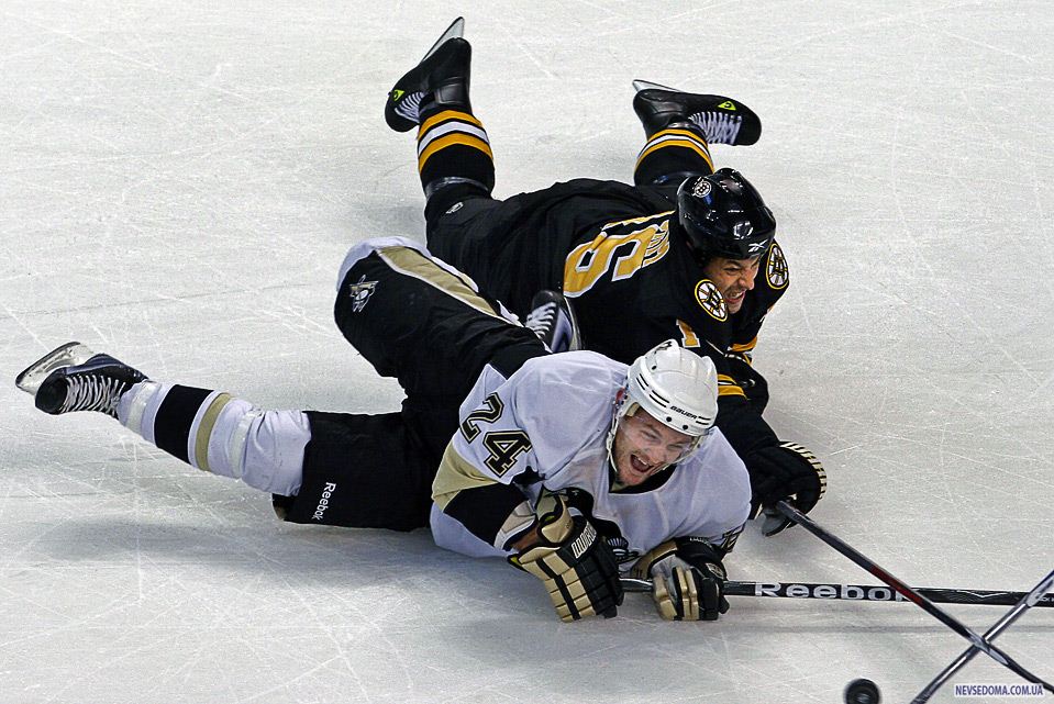 10.   ()   «Boston Bruins»     «Pittsburgh Penquins»          , 10 . (Jim Davis/Globe Staff)