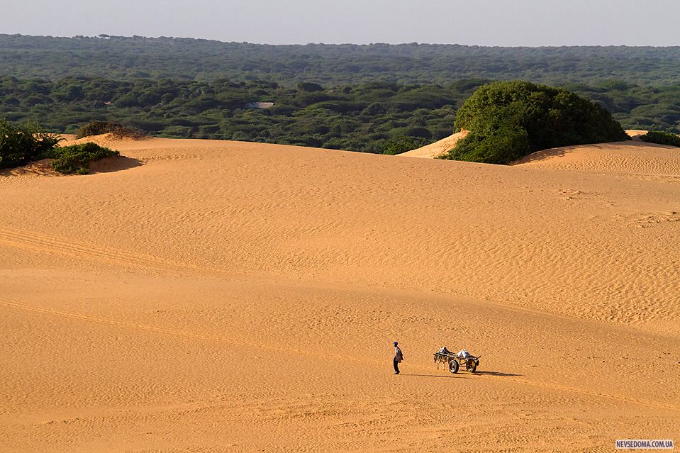 6)   ,  ,          , .                . (Yasuyoshi Chiba/Agence France-Presse/Getty Images) 