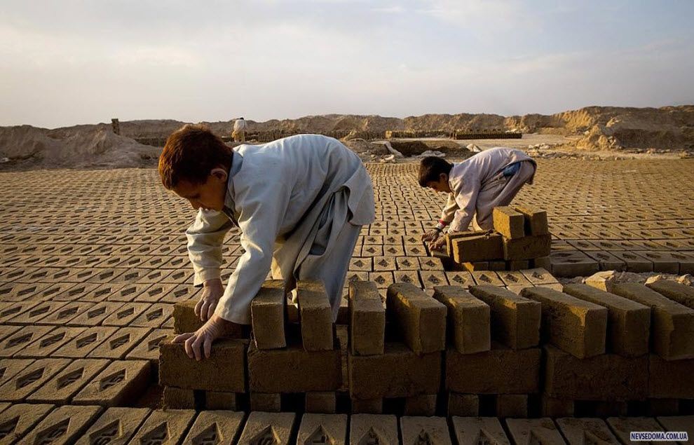 10. 7-        «Sadat Ltd. Brick»,       8   5 . (Paula Bronstein, Getty Images)