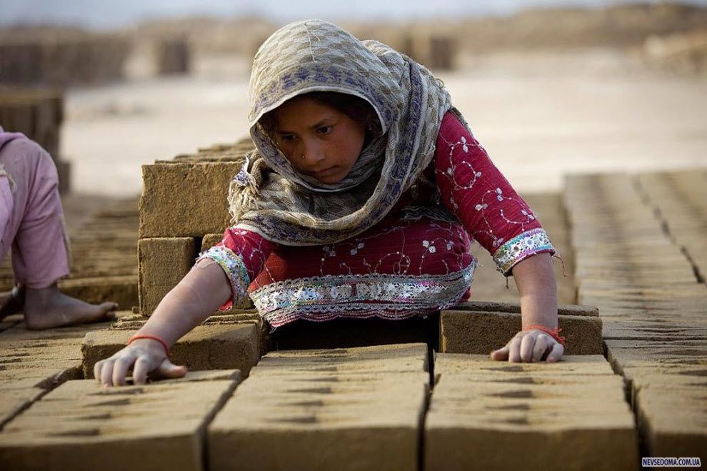 11. 9-      «Sadat Ltd. Brick»,       8  17,    . (Paula Bronstein, Getty Images)