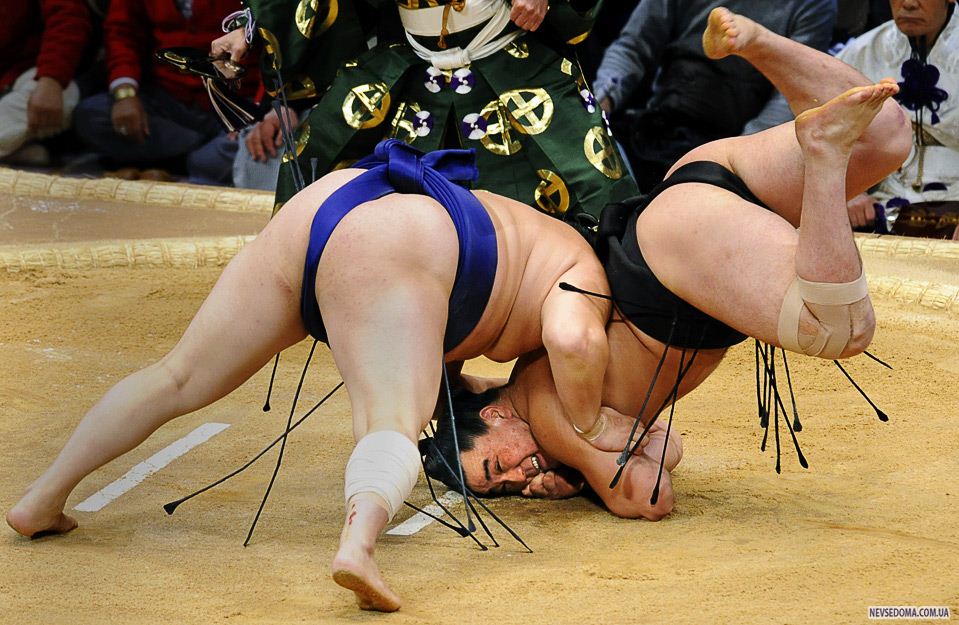 7.          ()    «Kyushu Grand Sumo» , , 17 . (AP Photo/Kyodo News)
