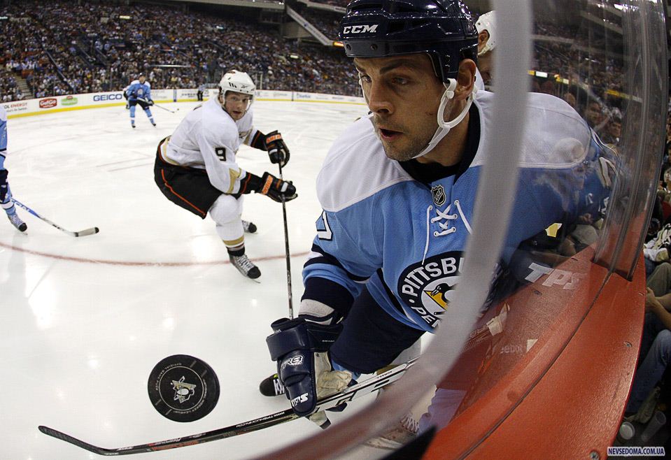 24.  c  «Pittsburgh Penguins»          «Anaheim Ducks», , 16 . (Justin K. Aller/Getty Images)