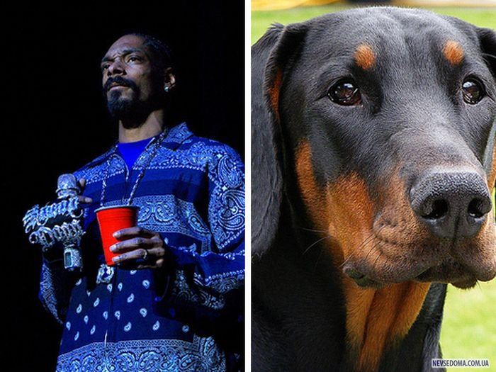 Snoop Dogg - 