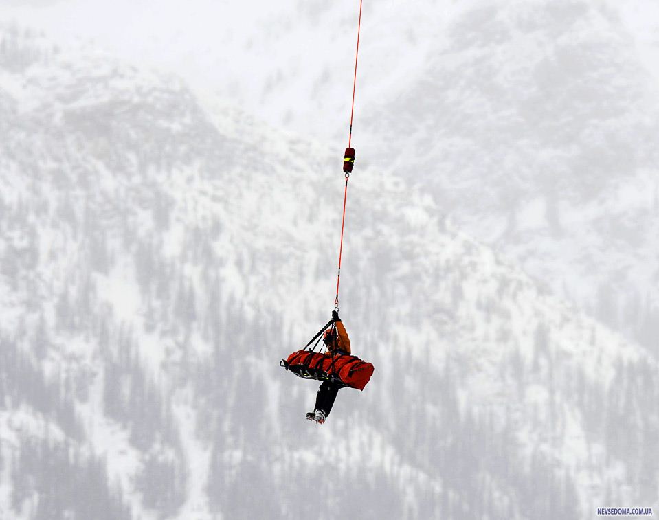 9.        , ,            29 ,  . (DON EMMERT/AFP/Getty Images)