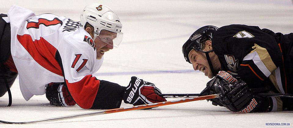 14.    «Ottawa Senators» ()         «Anaheim Ducks»   NHL   6 . (AP Photo/Jae C. Hong)
