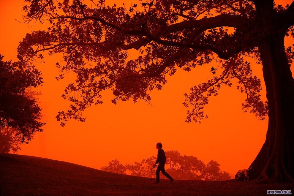 15.           23  2009 ,           .      ,       ,          . (GREG WOOD/AFP/Getty Images)