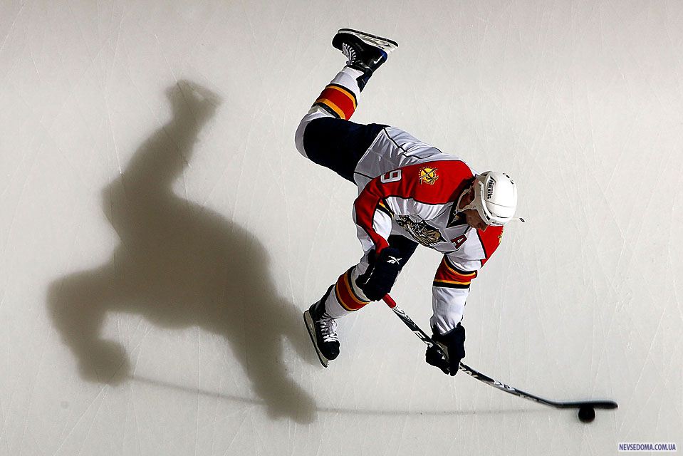 3)  ,   «Florida Panthers»     «New York Islanders»   ,  -.     7-1. (Jim McIsaac/Getty Images) 
