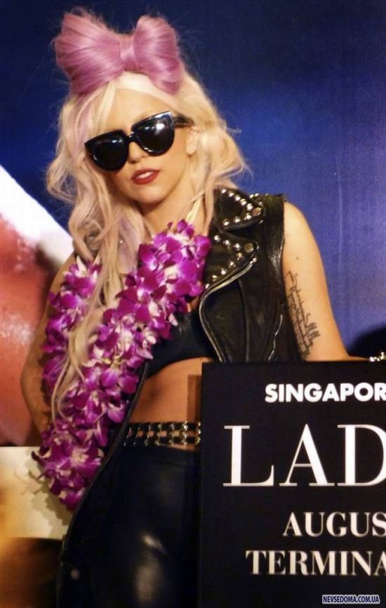  Lady Gaga (23 )