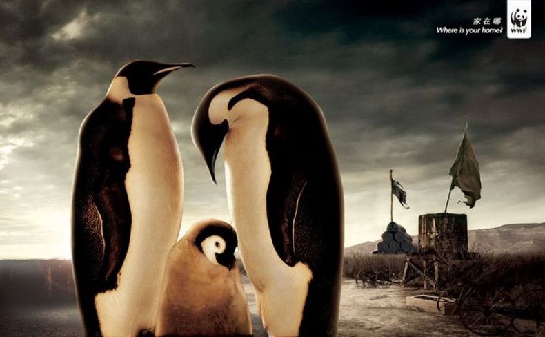 Социальная реклама от WWF (34 фото) (34 Фото)