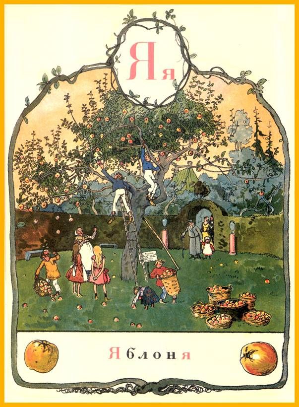  1904  (34 )