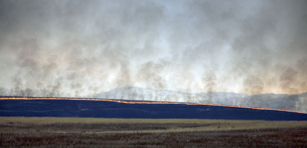 24 . Askiz, Russia.  . Photograph: Ilya Naymushin/Reuters