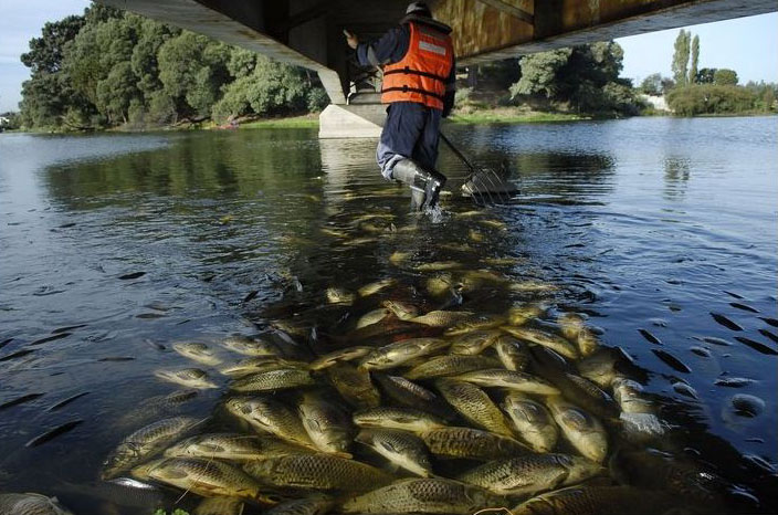 30 .  Concepcion, Chile.      , , -    . Stringer/chile-Reuters