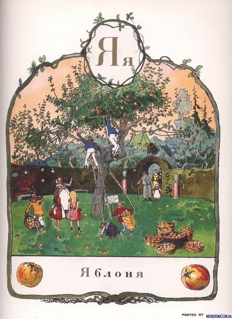  1904    (35 )