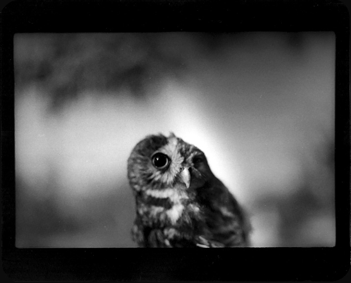 Giacomo Brunelli (30 ), photo:3