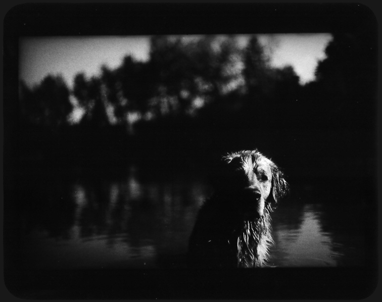 Giacomo Brunelli (30 ), photo:25