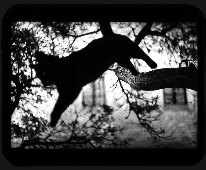 Giacomo Brunelli (30 ), photo:28