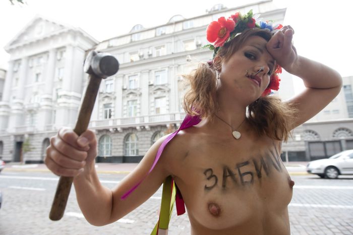    Femen (11 )