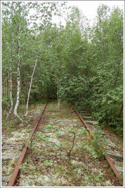 Заброшенная железная дорога (45 фото)
