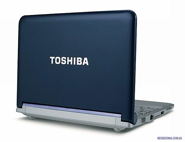 Toshiba mini NB300 -      (3 )