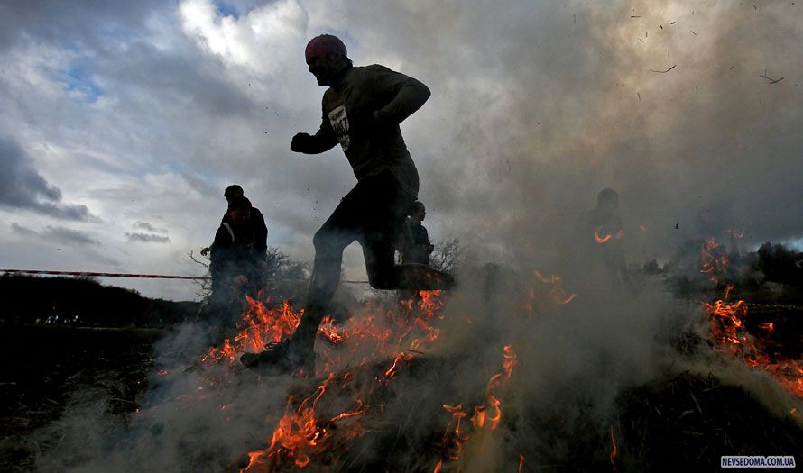 5.   «Tough Guy»       , , . (AP Photo/Simon Dawson)