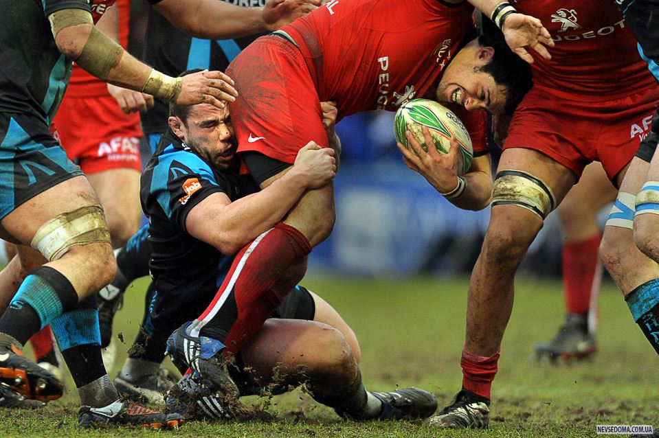 13.     «Toulouse»       «Sale Sharks»     , , , 24 . (ANDREW YATES/AFP/Getty Images)