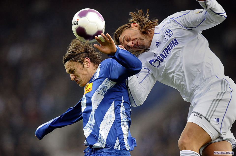 16.   «Schalke 04»  «Bochum»   ()            -, , 23 . (AP Photo/Martin Meissner)