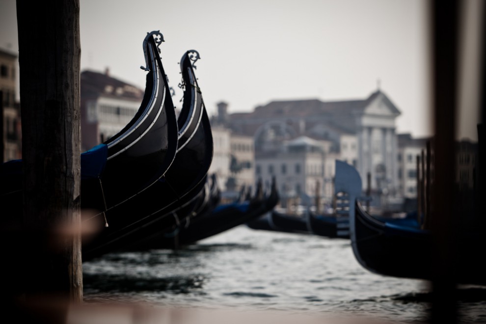 Venice, a Wonderland