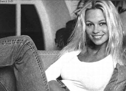  Pamela Anderson (25 )