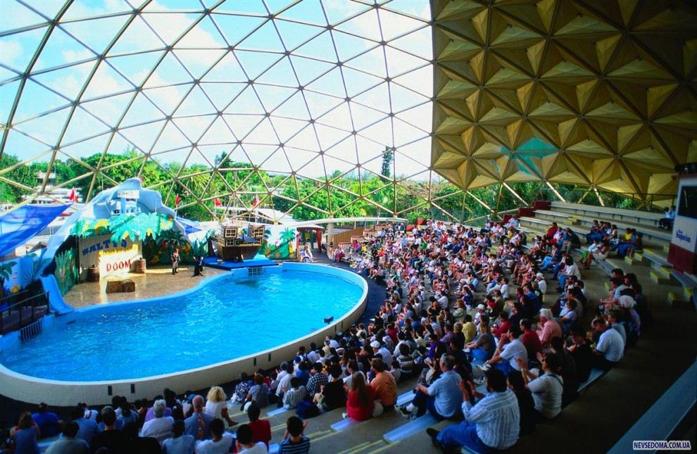 7. «Miami Seaquarium» -       .    37,95 ,   3  9  – 27,95  ( 7%   ). (Jon Davison / Lonely Planet Images)