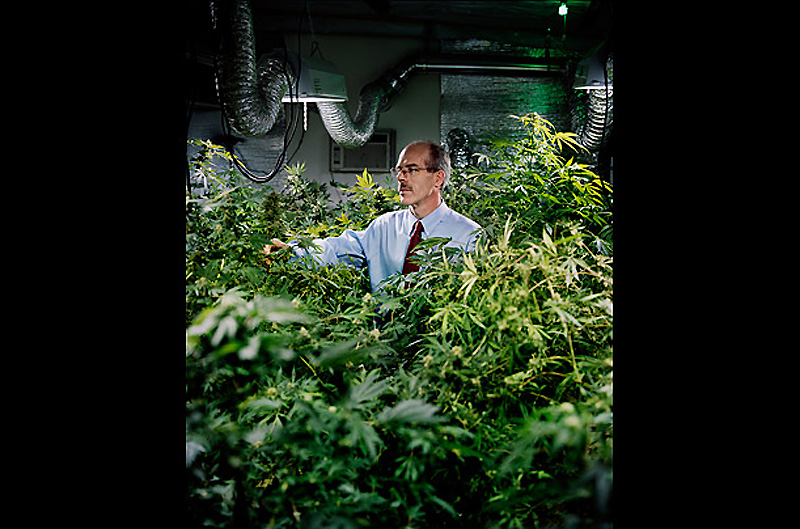 Inside Colorado's Marijuana Industry