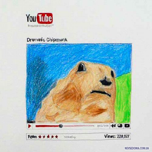  YouTube (29 )