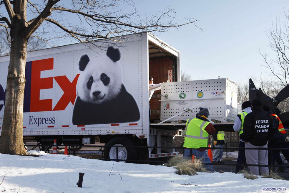 Pandas Depart