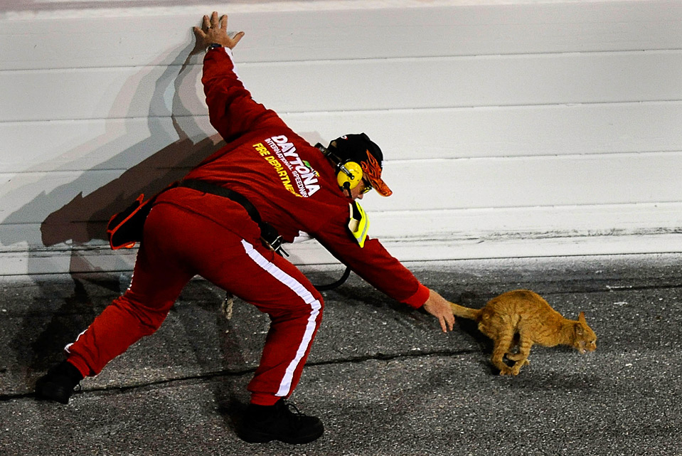 8.    «Daytona»        «Budweiser Shootout»,  . (John Harrelson/Getty Images for NASCAR)