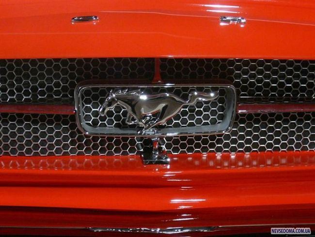     Ford Mustang 1965  (5 )