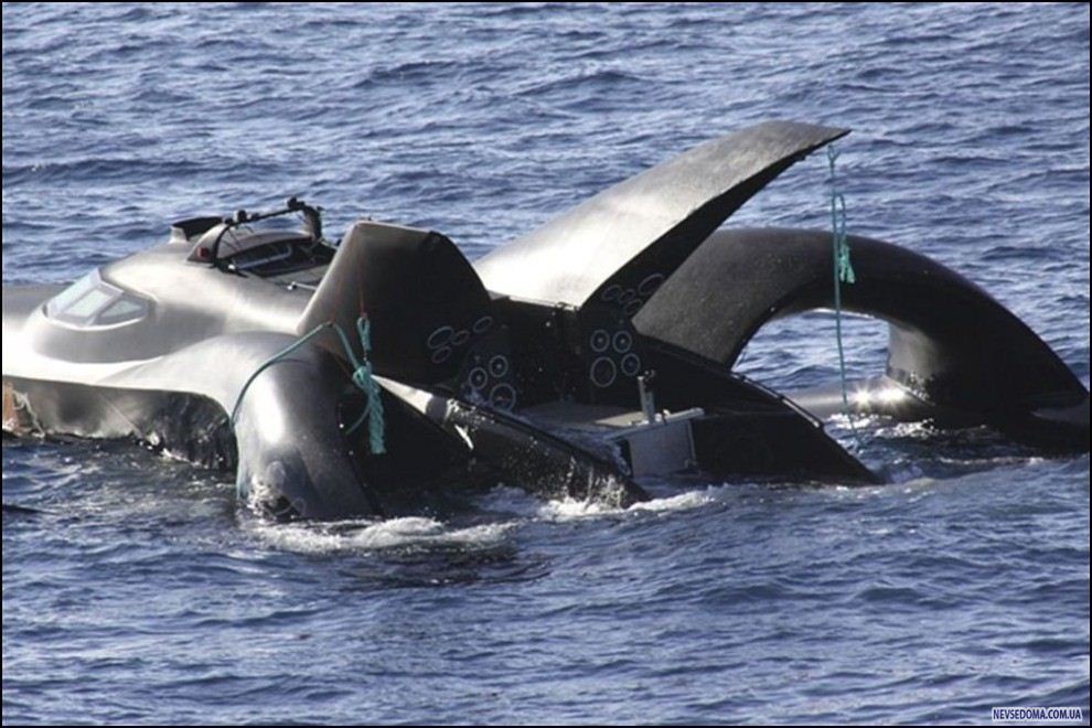 11) © AP Photo/Institute of Cetacean Research //        .