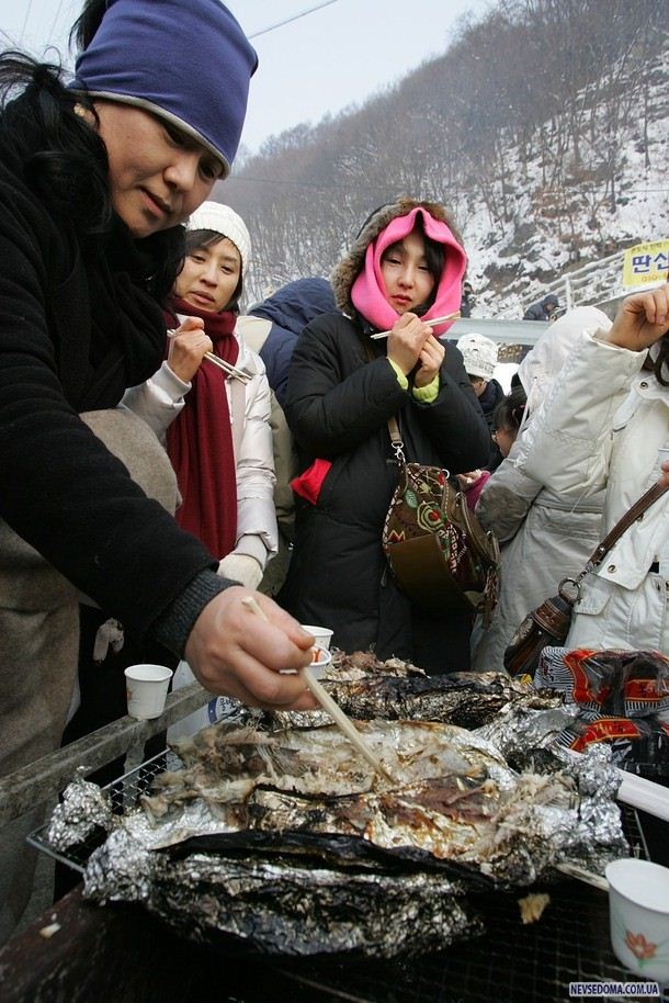 10)          ,        . (Chung Sung-Jun/Getty Images)