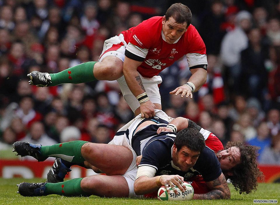 25)      ()    ( )            «Six Nations rugby union», , 13 . (REUTERS/Phil Noble)