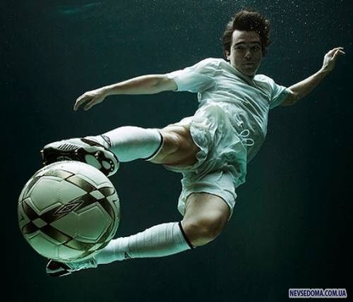 Подводные виды спорта (16 фото)