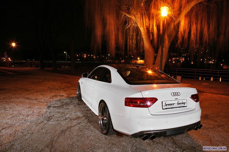 Audi S5 White Beast   Senner (21 )