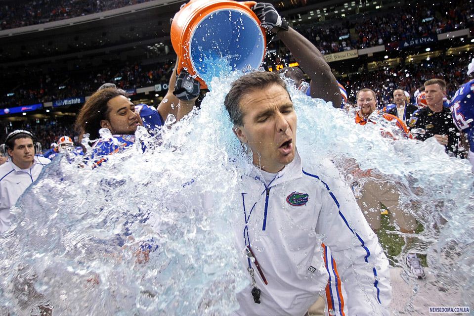 1.                    «Sugar Bowl NCAA»    2 . (AP Photo/Dave Martin)