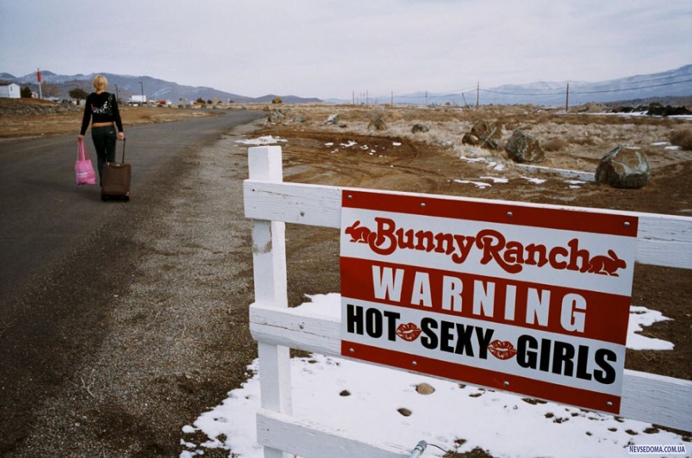 120   «Moonlite BunnyRanch»