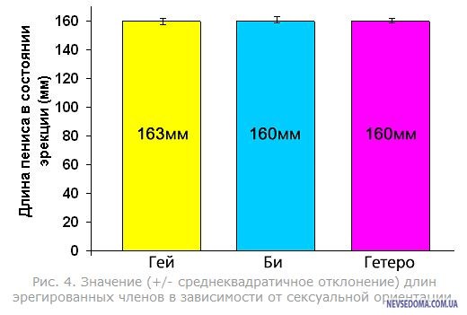 Уролог назвал оптимальный размер мужского пениса: Уход за собой: Забота о себе: lavandasport.ru