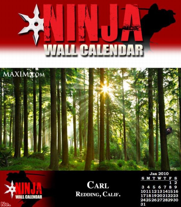 Если бы ниндзи выпустили свой календарь (12 фото)