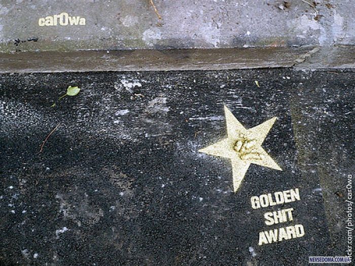 Golden Shit Award   (8 )