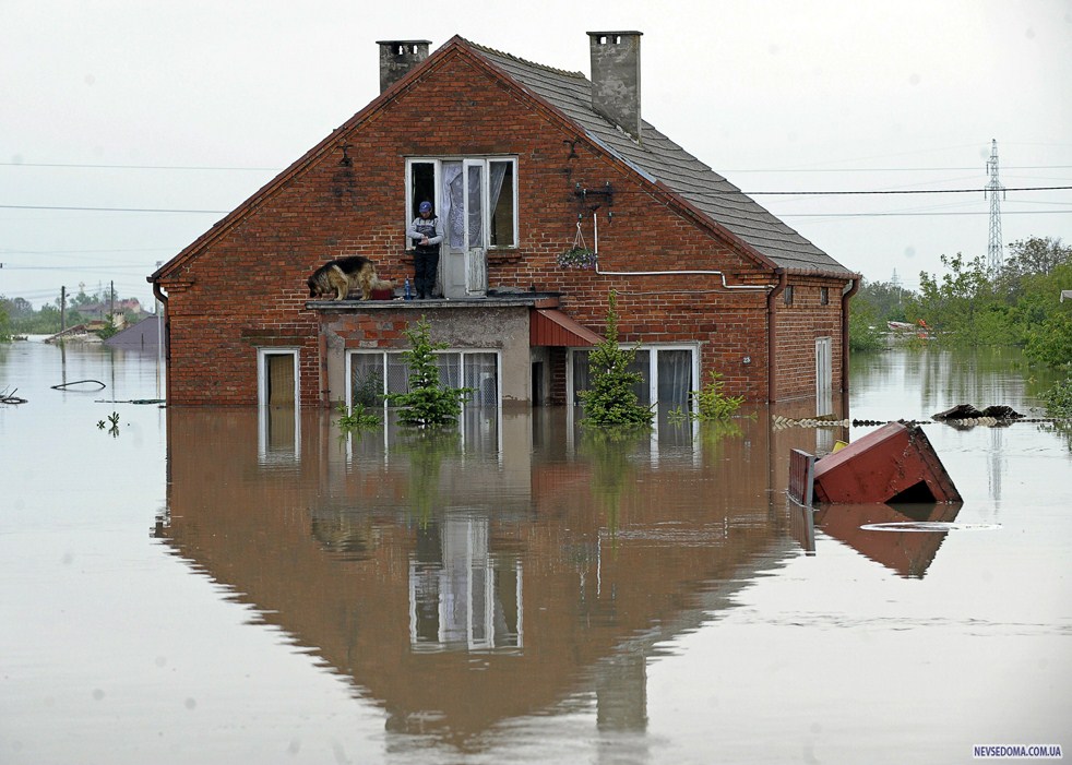 flood100  :    