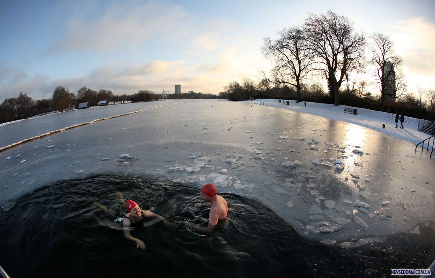 20.        «Serpentine»         -  .         ,     -10,      –   -22 . (Photo by Oli Scarff/Getty Images)