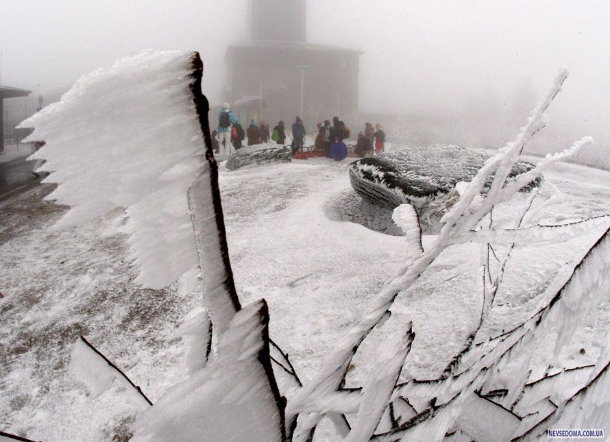 8.      ,   . (AP Photo/Michael Probst)