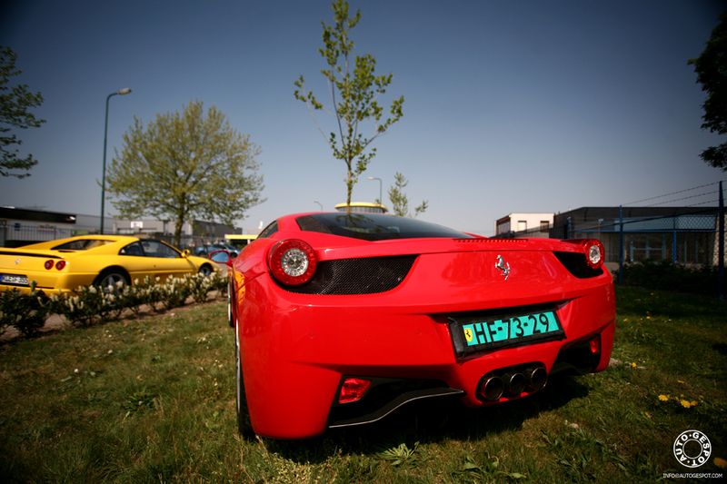   Ferrari (31 )
